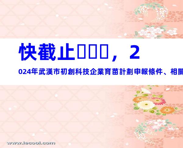 快截止，2024年武漢市初創科技企業育苗計劃申報條件、相關內容